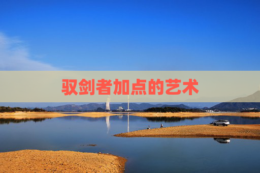 驭剑者加点的艺术 驭剑者加点的艺术
