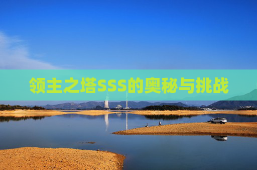 领主之塔SSS的奥秘与挑战