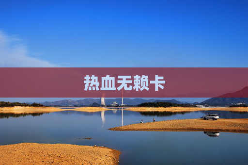 热血无赖卡 热血无赖卡