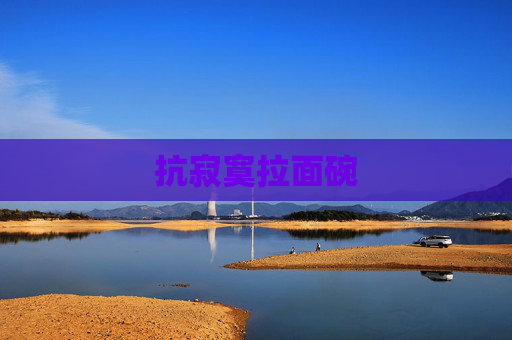 抗寂寞拉面碗 抗寂寞拉面碗