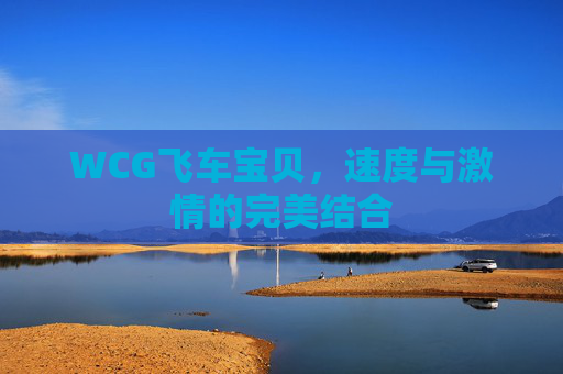 WCG飞车宝贝，速度与激情的完美结合