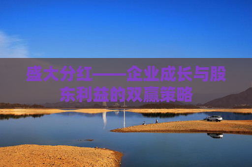 盛大分红——企业成长与股东利益的双赢策略