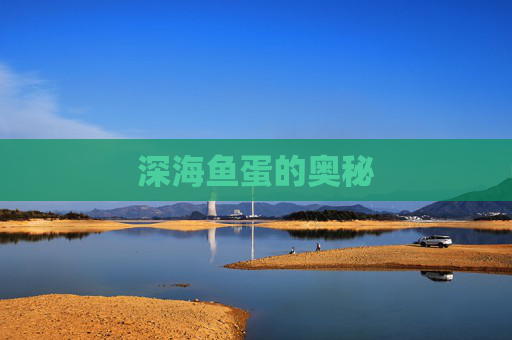 深海鱼蛋的奥秘 深海鱼蛋的奥秘