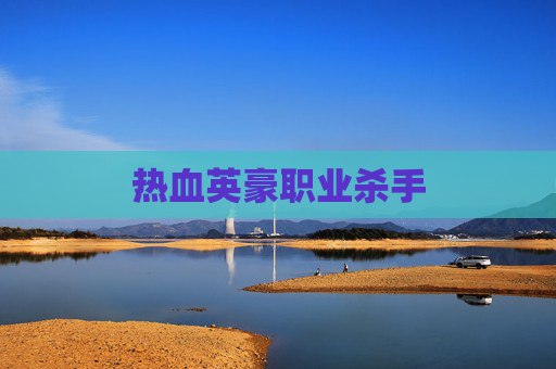 热血英豪职业杀手 热血英豪职业杀手