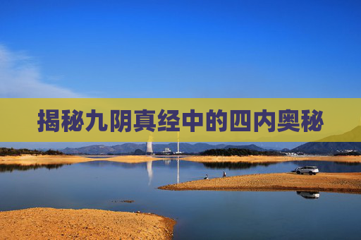 揭秘九阴真经中的四内奥秘