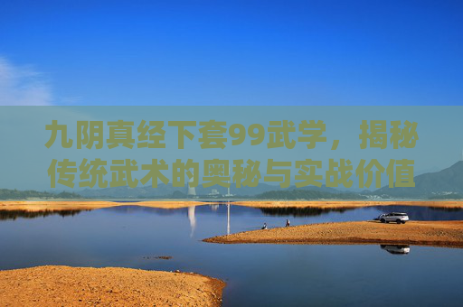 九阴真经下套99武学,揭秘传统武术的奥秘与实战价值 九阴真经下套99武学,揭秘传统武术的奥秘与实战价值