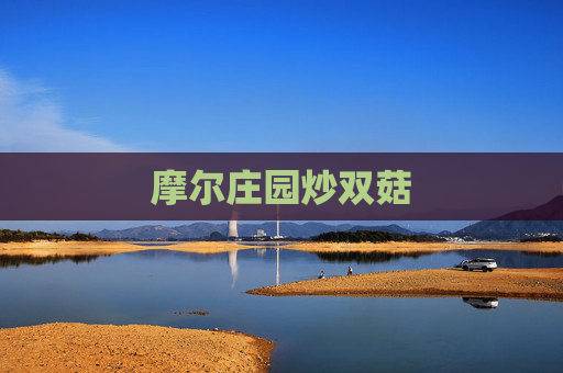 摩尔庄园炒双菇