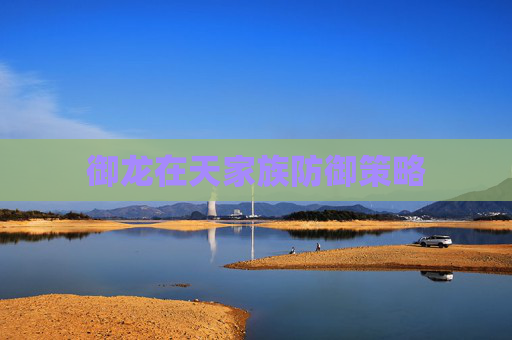 御龙在天家族防御策略