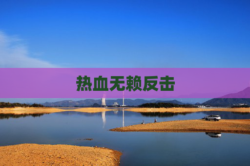 热血无赖反击