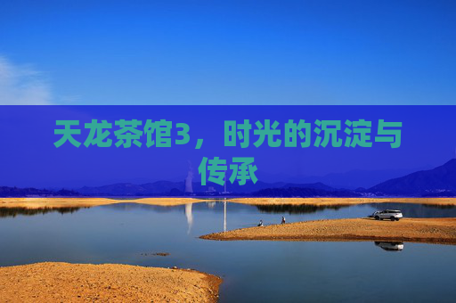 天龙茶馆3，时光的沉淀与传承