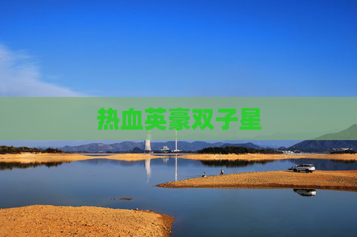 热血英豪双子星 热血英豪双子星