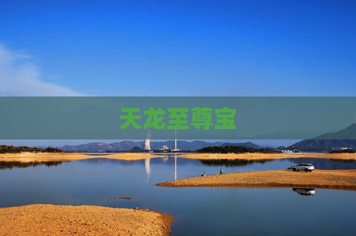 天龙至尊宝