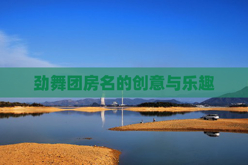 劲舞团房名的创意与乐趣
