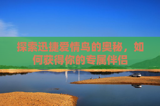 探索迅捷爱情鸟的奥秘，如何获得你的专属伴侣