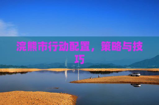 浣熊市行动配置，策略与技巧