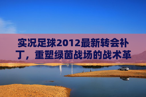 实况足球2012最新转会补丁,重塑绿茵战场的战术革新 实况足球2012最新转会补丁,重塑绿茵战场的战术革新