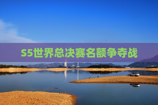 S5世界总决赛名额争夺战