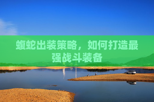 蝮蛇出装策略,如何打造最强战斗装备 蝮蛇出装策略,如何打造最强战斗装备