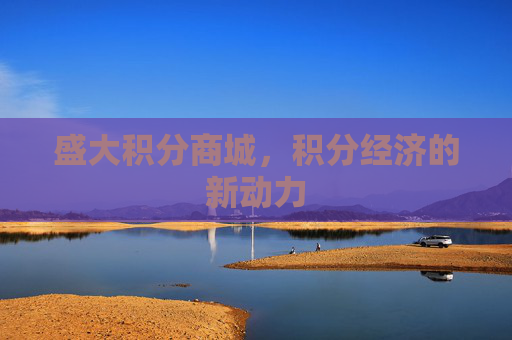盛大积分商城，积分经济的新动力