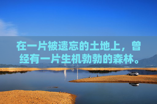 在一片被遗忘的土地上,曾经有一片生机勃勃的森林。然而,一场突如其来的灾难夺走了它的生命,留下了一片荒凉的土地。这片土地被称为悲泣荒原,它见证了一个生命的消逝,也承载着无尽的哀伤和思念 在一片被遗忘的土地上,曾经有一片生机勃勃的森林。然而,一场突如其来的灾难夺走了它的生命,留下了一片荒凉的土地。这片土地被称为悲泣荒原,它见证了一个生命的消逝,也承载着无尽的哀伤和思念