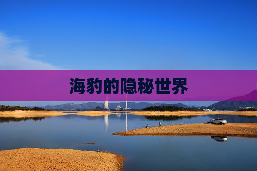 海豹的隐秘世界 海豹的隐秘世界