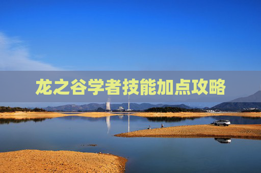 龙之谷学者技能加点攻略 龙之谷学者技能加点攻略