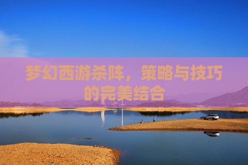 梦幻西游杀阵,策略与技巧的完美结合 梦幻西游杀阵,策略与技巧的完美结合