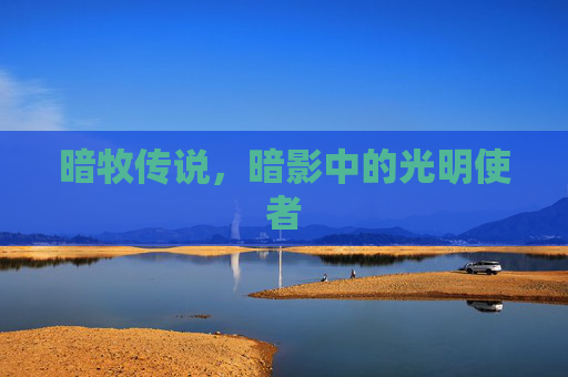 暗牧传说，暗影中的光明使者