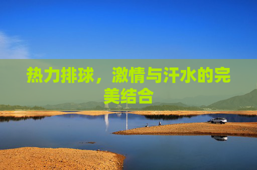 热力排球,激情与汗水的完美结合 热力排球,激情与汗水的完美结合