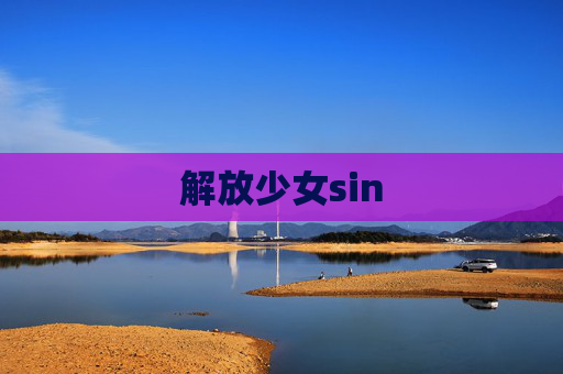 解放少女sin 解放少女sin