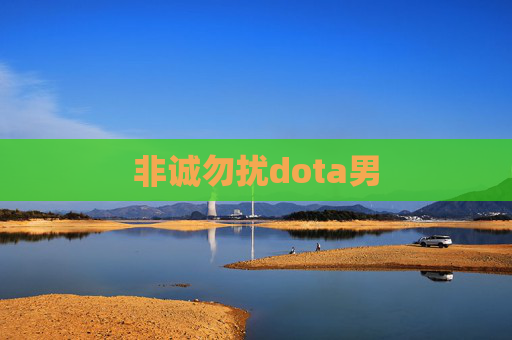 非诚勿扰dota男