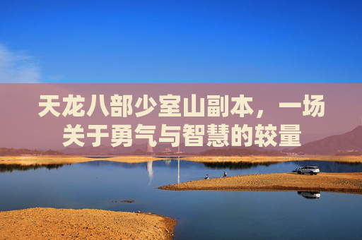 天龙八部少室山副本,一场关于勇气与智慧的较量 天龙八部少室山副本,一场关于勇气与智慧的较量