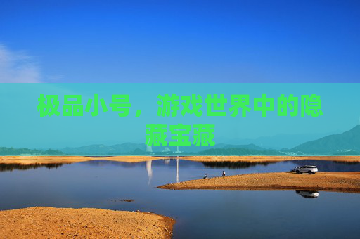 极品小号,游戏世界中的隐藏宝藏 极品小号,游戏世界中的隐藏宝藏
