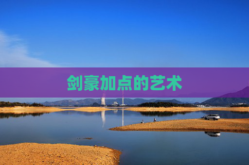 剑豪加点的艺术 剑豪加点的艺术