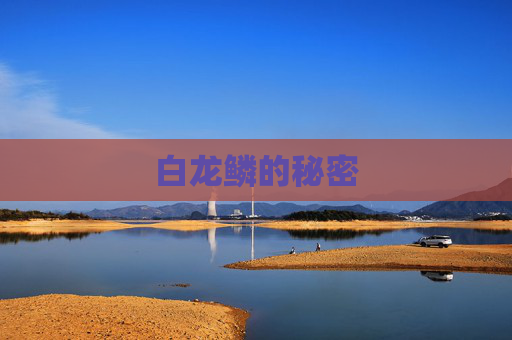 白龙鳞的秘密 白龙鳞的秘密