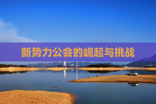 新势力公会的崛起与挑战 新势力公会的崛起与挑战