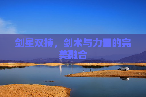 剑星双持，剑术与力量的完美融合