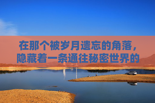 在那个被岁月遗忘的角落，隐藏着一条通往秘密世界的秘道。这条密道，如同时间的裂缝，将过去与现在紧紧相连。它不仅仅是一条简单的通道，而是一段传奇，一段关于勇气、智慧和背叛的故事