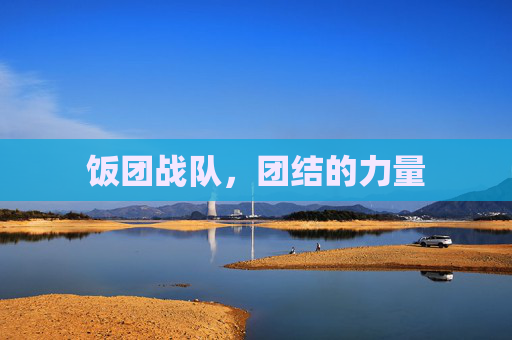 饭团战队,团结的力量 饭团战队,团结的力量