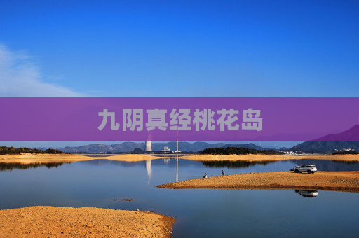 九阴真经桃花岛 九阴真经桃花岛