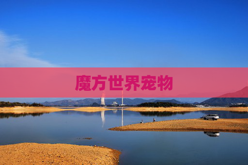 魔方世界宠物 魔方世界宠物