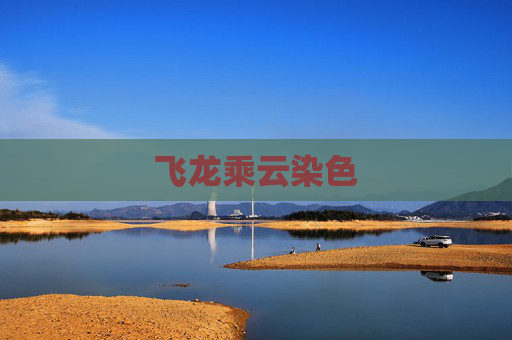 飞龙乘云染色 飞龙乘云染色