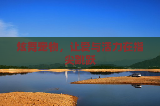 炫舞宠物，让爱与活力在指尖跳跃