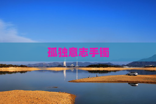 孤独意志手镯 孤独意志手镯