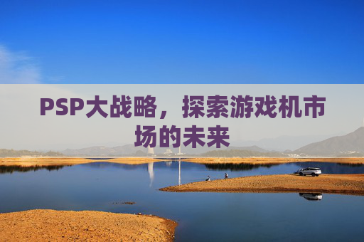 PSP大战略,探索游戏机市场的未来 PSP大战略,探索游戏机市场的未来
