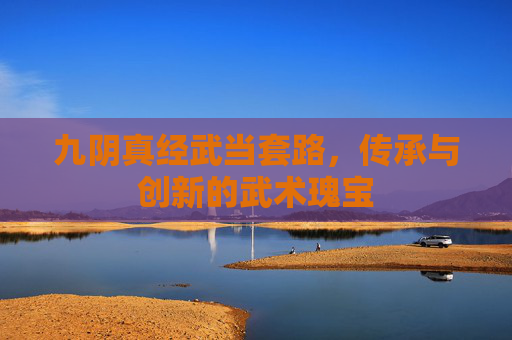 九阴真经武当套路,传承与创新的武术瑰宝 九阴真经武当套路,传承与创新的武术瑰宝