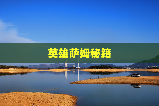 英雄萨姆秘籍