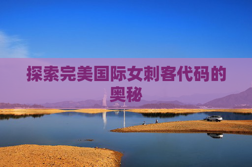 探索完美国际女刺客代码的奥秘
