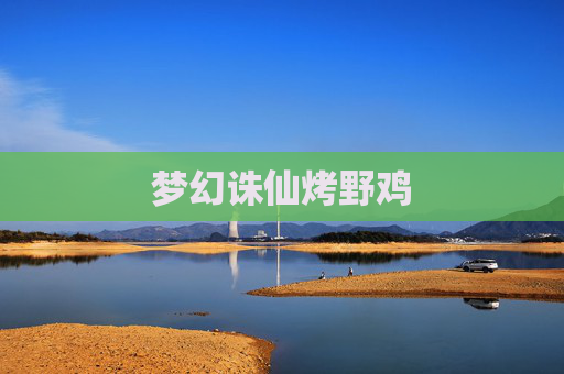 梦幻诛仙烤野鸡