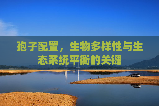 孢子配置,生物多样性与生态系统平衡的关键 孢子配置,生物多样性与生态系统平衡的关键